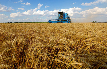 Египетская товарная биржа начала работу с торгов российской пшеницей