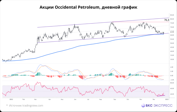 Лучшая акция в S&P 500 в 2022, которую держит Баффет