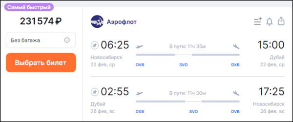 Билеты в Дубай из Новосибирска на 23 Февраля продаются за 300 тысяч рублей