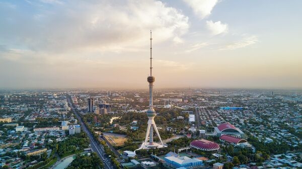 Абхазия, Грузия и Эмираты смогут заменить россиянам летом подорожавшую Турцию