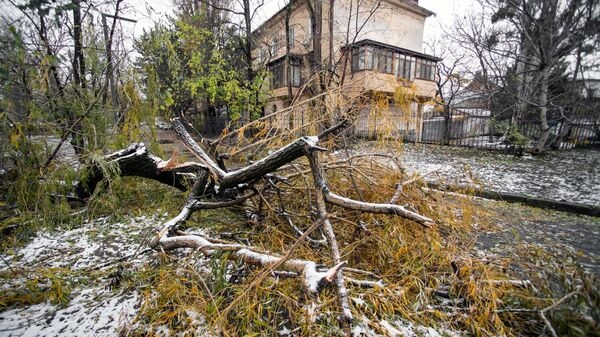 Центральный городской пляж "Маяк" в Сочи первым открыли после шторма