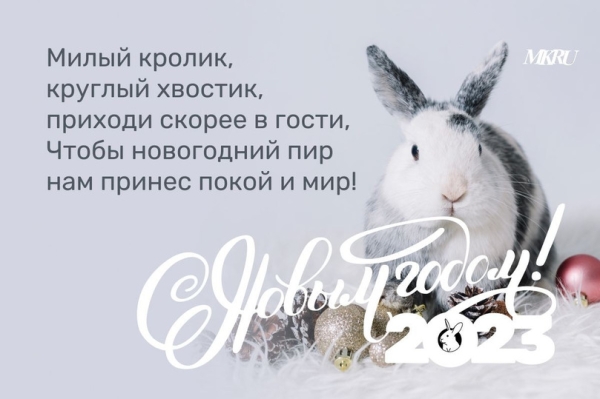 Открытки и картинки с Новым годом Кролика 2023 с оригинальными стихами