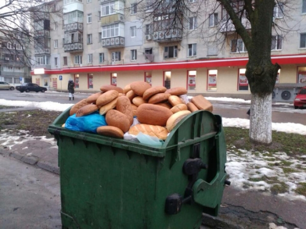 Магазины и аптеки могут начать наказывать за использование придомовых мусорных баков
Магазины и аптеки могут начать наказывать за использование придомовых мусорных баков