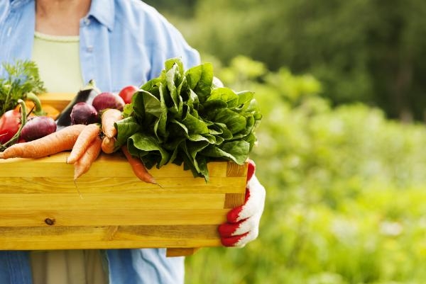 Инвестфонд основателя «ВкусВилла» Андрея Кривенко стал совладельцем платформы доставки фермерских продуктов
Инвестфонд основателя «ВкусВилла» Андрея Кривенко стал совладельцем платформы доставки фермерских продуктов