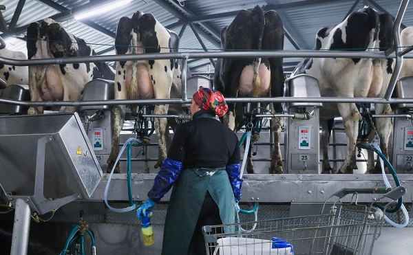 Россия попросила Армению остановить поставки молочной продукции
Россия попросила Армению остановить поставки молочной продукции