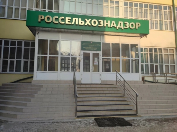 Красноярский Россельхознадзор потребовал заблокировать 44 интернет-зоомагазина
Красноярский Россельхознадзор потребовал заблокировать 44 интернет-зоомагазина