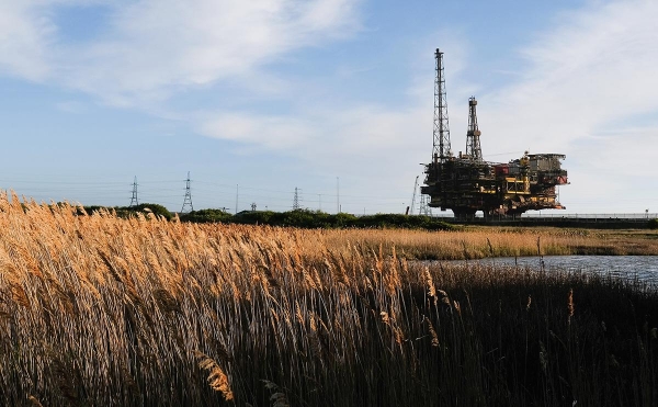 Новак допустил, что цена на нефть Brent превысит $80 к концу года
Новак допустил, что цена на нефть Brent превысит $80 к концу года