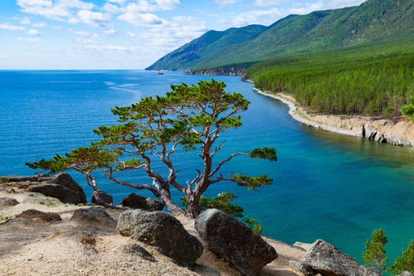 В России могут создать круглогодичные морские курорты В России могут создать круглогодичные морские курорты