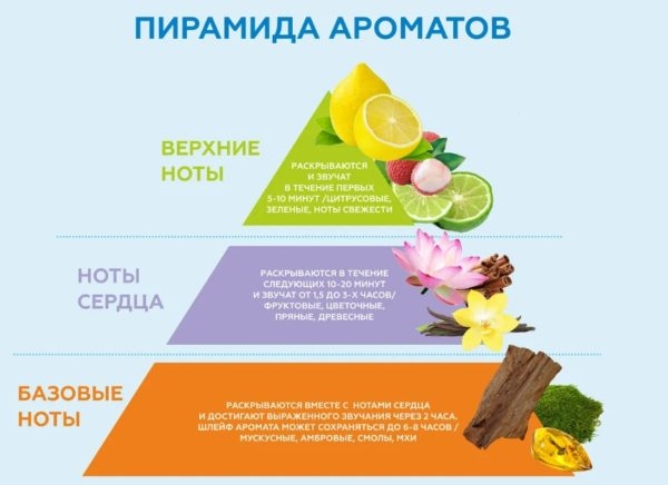Как правильно выбрать духи: советы по подбору парфюма с идеальным ароматом